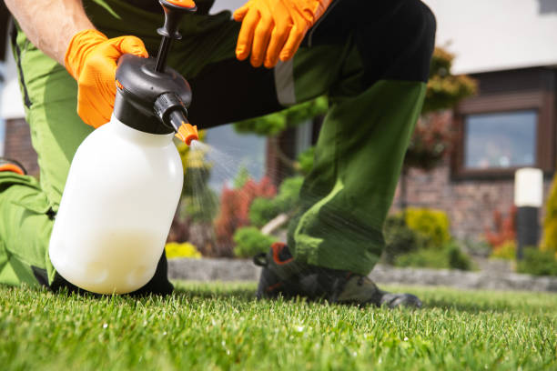 Best Termite Control Services  in Concordia, KS