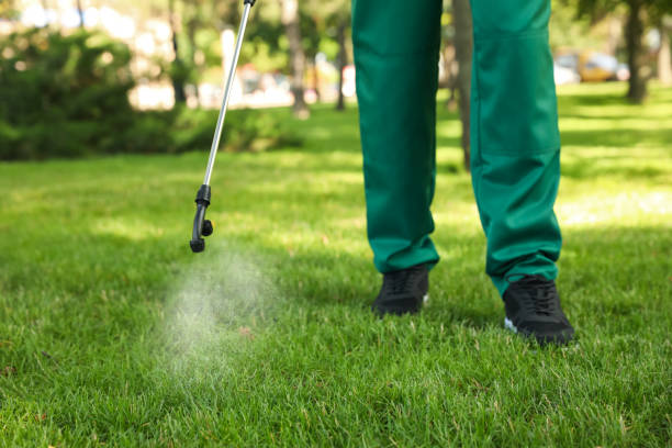 Best Flea Control Services  in Concordia, KS