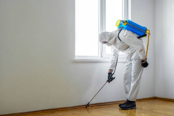 Best Exterminator Services  in Concordia, KS