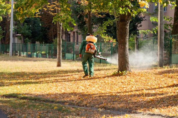 Pest Control for Restaurants in Concordia, KS