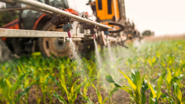 Best Pest Inspection Near Me  in Concordia, KS